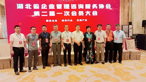 湖北省企業(yè)管理咨詢服務協(xié)會換屆,程鵬當選為會長